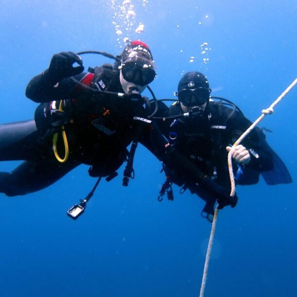 fun dive tenerife. try dive, first time underwater. photos and videos included