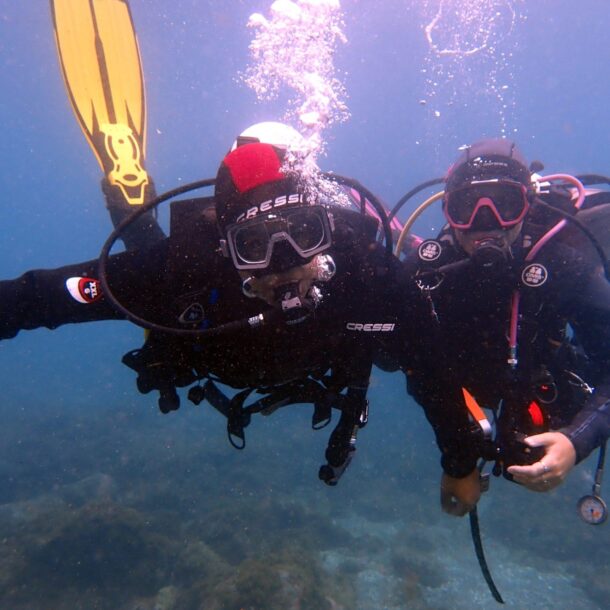 Marine Biology Intership, Whale Watching . Scuba diving intership. University Intership. Erasmus Intership. Tenerife Intership