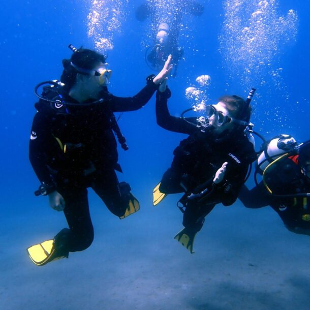 Diving Tenerife
