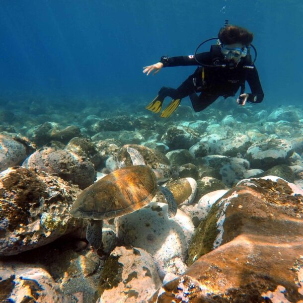 Buceo para principiantes. Marine life conservation program. best dive center in Tenerife