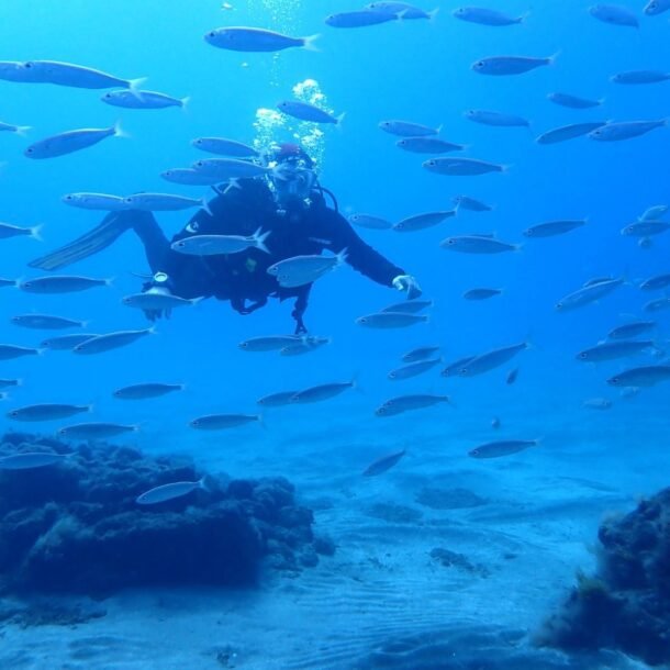Scuba Diving Tenerife. Los Cristianos