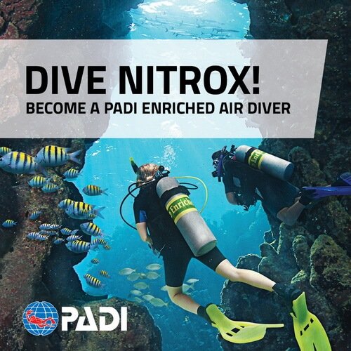PADI Enriched Air Nitrox diving course with certified divers using nitrox tanks underwater