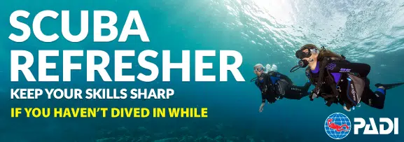 PADI Scuba Refresher course helping certified divers review skills and return to diving safely